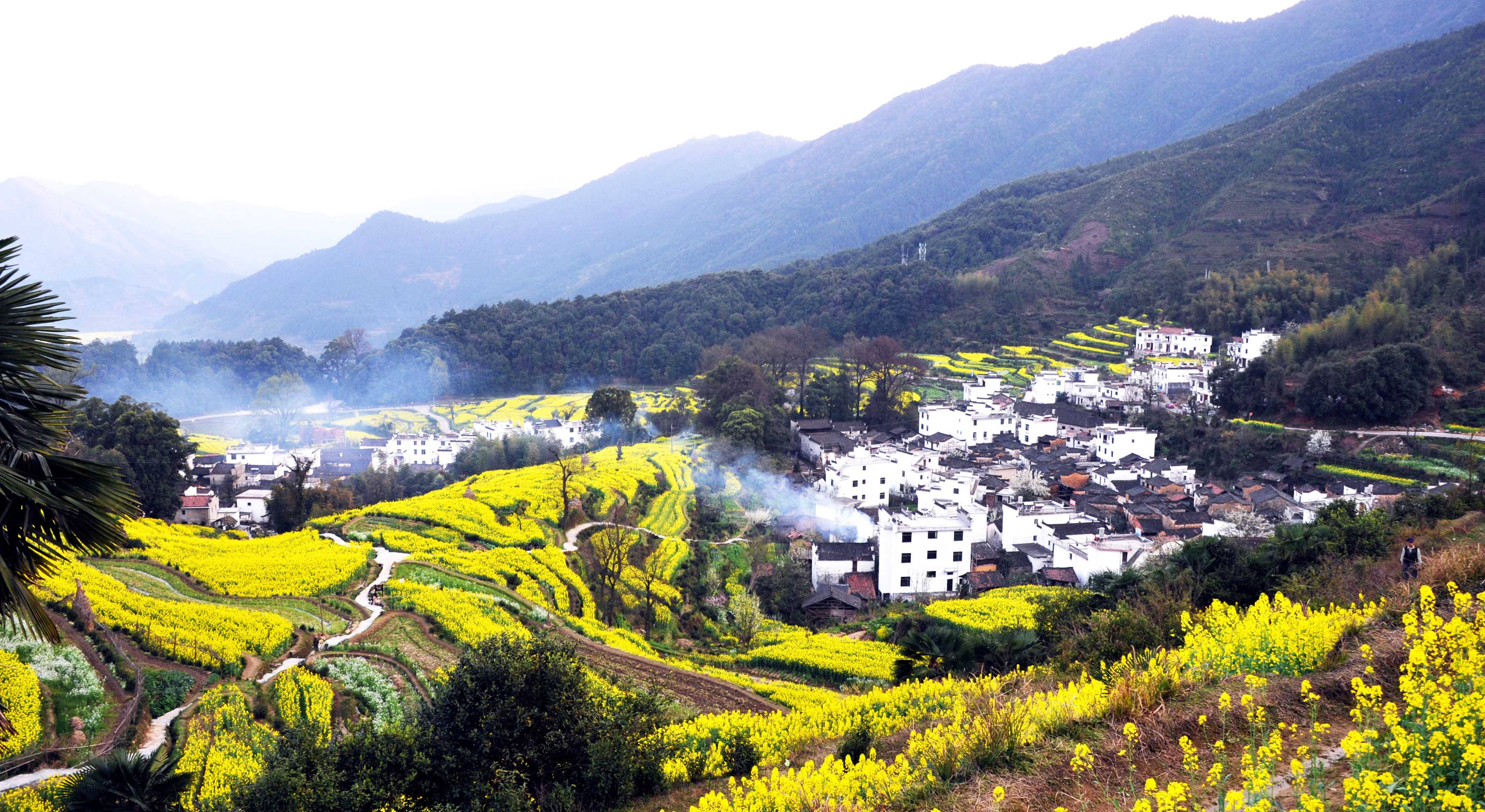 篁岭人家晒秋忙，婺源，可不止油菜花-婺源旅游攻略-游记-去哪儿攻略